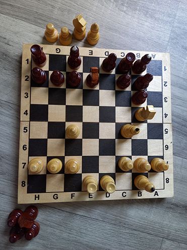 Оборона в шахматах