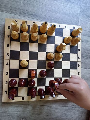Ловушка в шахматах
