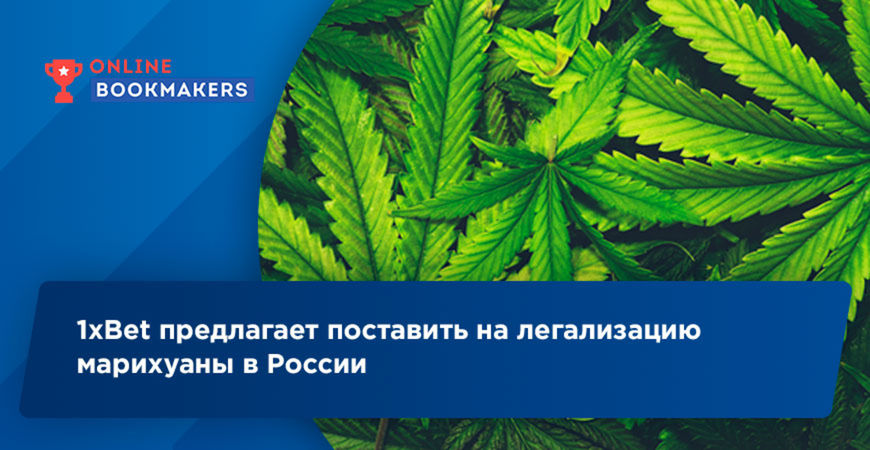 В россии может быть легализована марихуана что такое спайс ролл