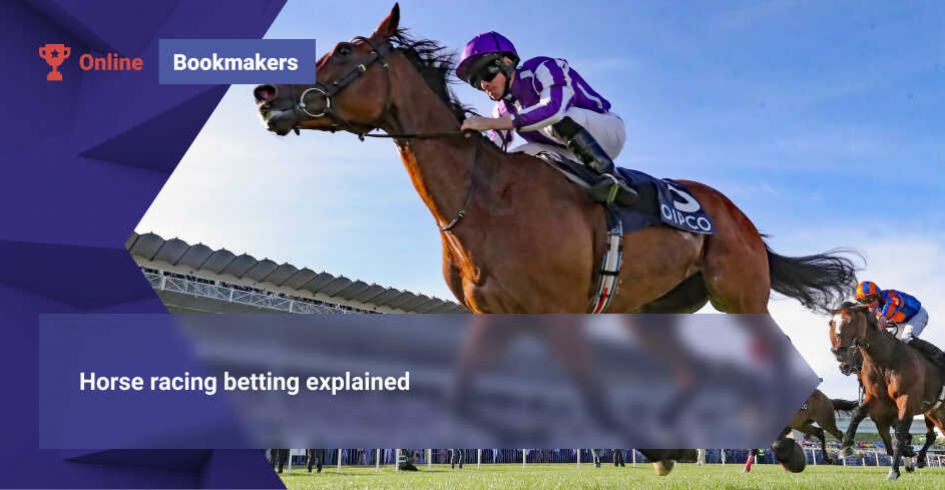 Horse racing betting explained